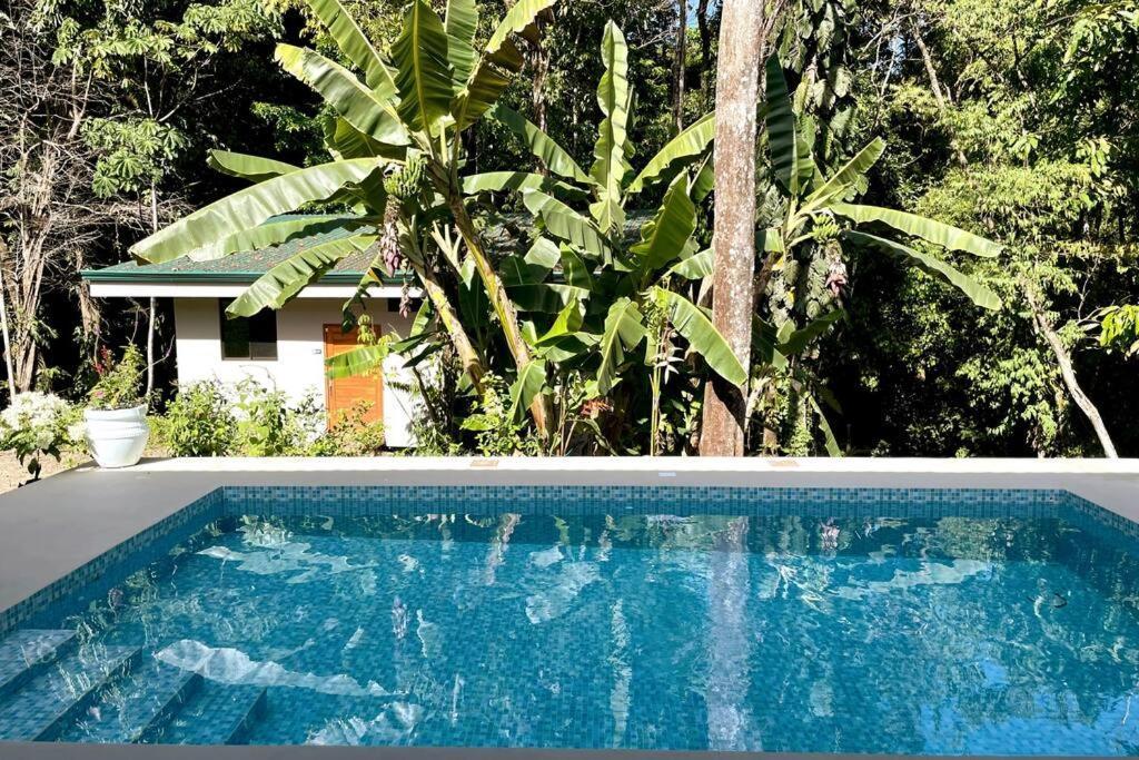An Abundance Of Wildlife At Jungle Glory Home Abajo Manuel Antonio Εξωτερικό φωτογραφία