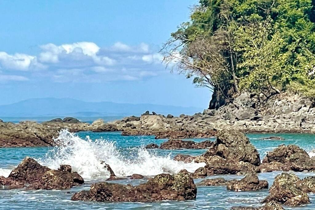 An Abundance Of Wildlife At Jungle Glory Home Abajo Manuel Antonio Εξωτερικό φωτογραφία