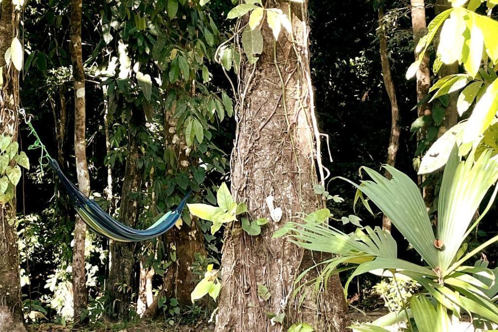 An Abundance Of Wildlife At Jungle Glory Home Abajo Manuel Antonio Εξωτερικό φωτογραφία
