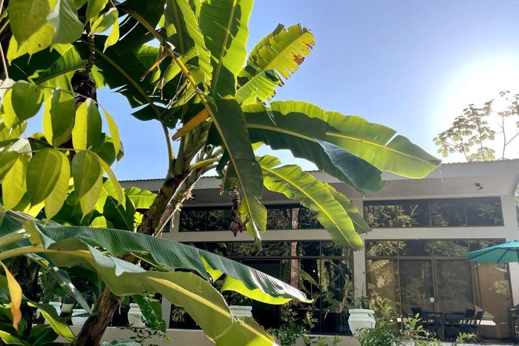 An Abundance Of Wildlife At Jungle Glory Home Abajo Manuel Antonio Εξωτερικό φωτογραφία