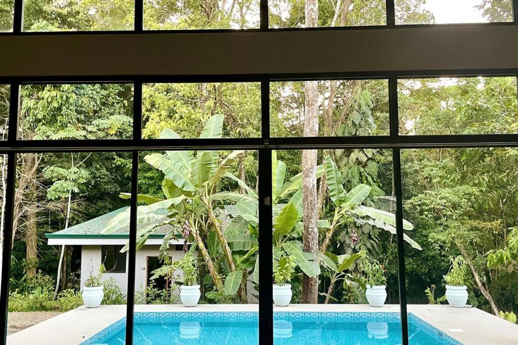 An Abundance Of Wildlife At Jungle Glory Home Abajo Manuel Antonio Εξωτερικό φωτογραφία