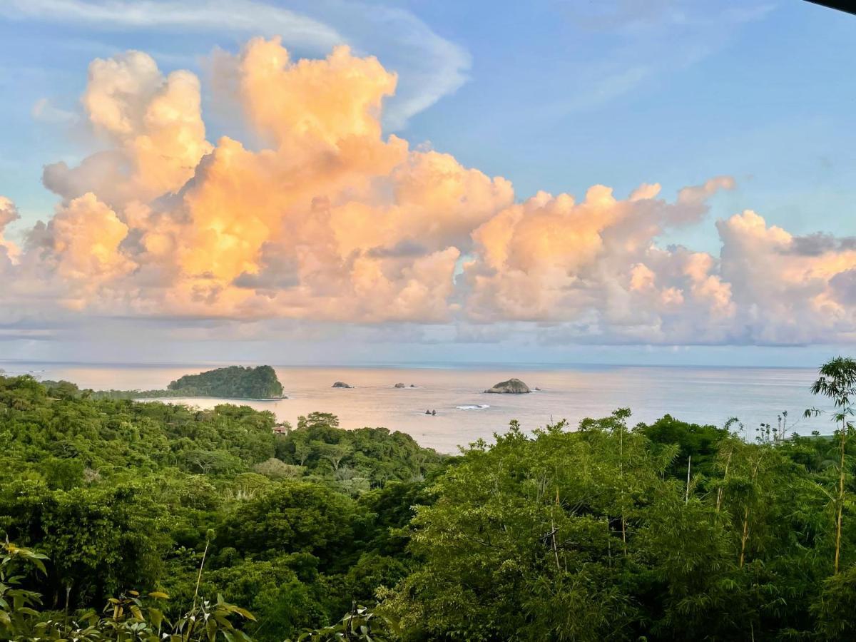 An Abundance Of Wildlife At Jungle Glory Home Abajo Manuel Antonio Εξωτερικό φωτογραφία