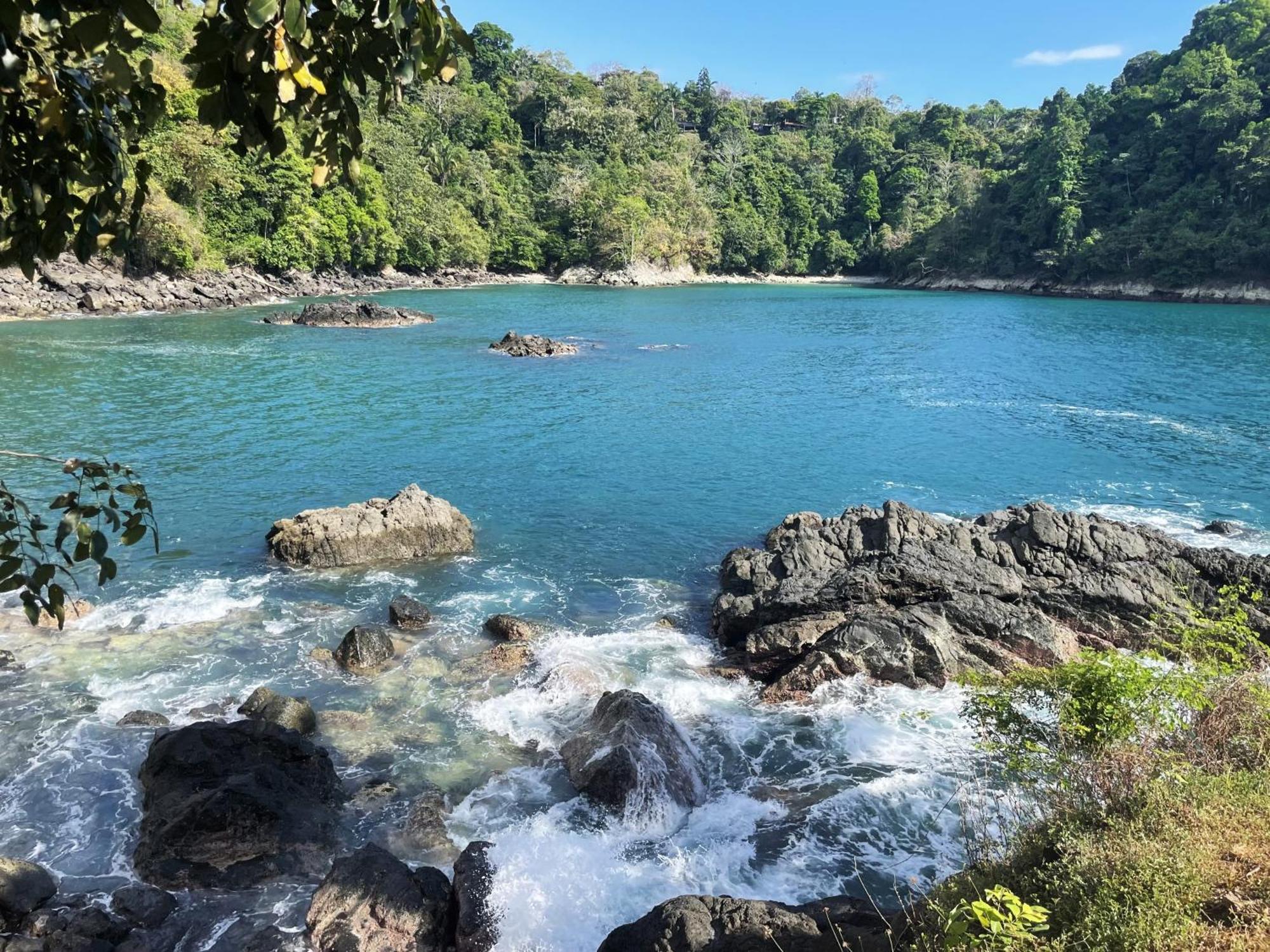 An Abundance Of Wildlife At Jungle Glory Home Abajo Manuel Antonio Εξωτερικό φωτογραφία